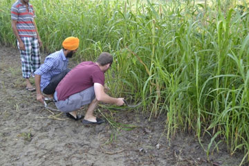 Amritsar Village Tour